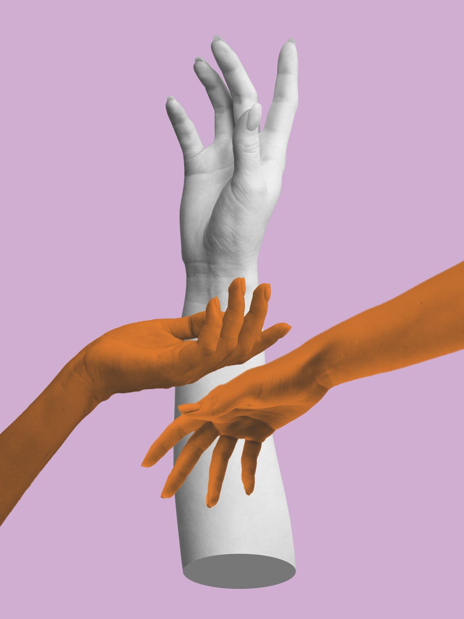 Professional photography and videography